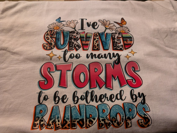 I've Survived Too Many Storms